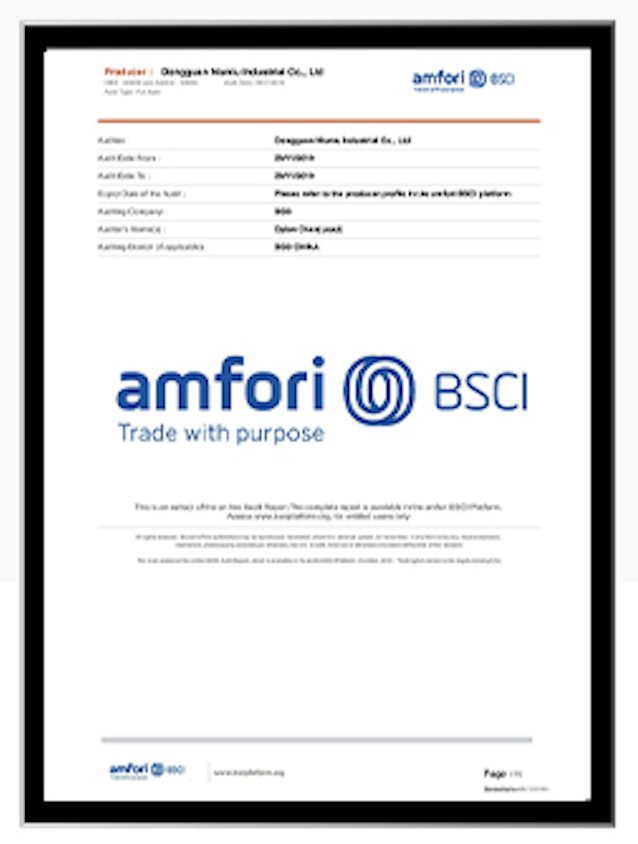 amfori BSCI audit summary issued by BSI