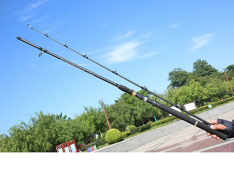 CHEERY New Arrival Hot Sell Rod Carbon Lure fishing rod - view 19
