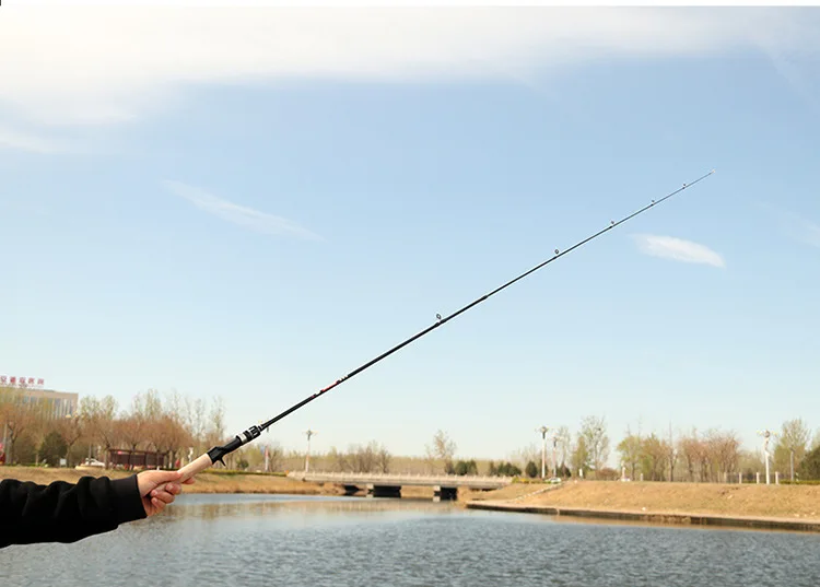 Luya Carbon Medium Action White Straight Carbon Lure Rod - view 19