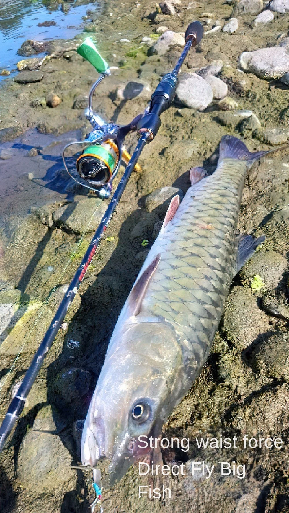 Cheery New Ultra light Solid Carbon Carbon Luya Rod - view 9