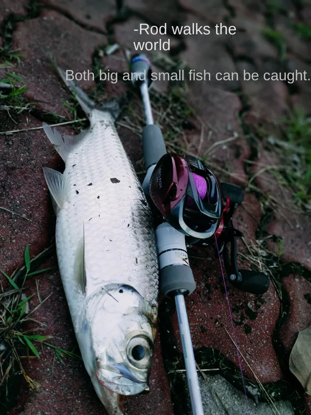 Cheery New Small White Solid Carbon Carbon Luya Rod - view 13