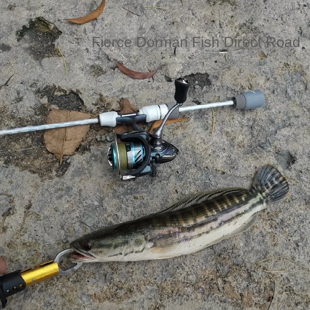 Cheery New Small White Solid Carbon Carbon Luya Rod - view 14