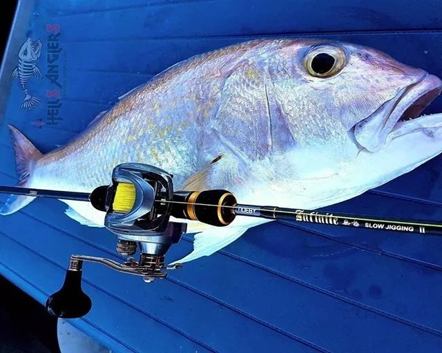 For Ugly Stick Hunter Sea Fishing Carbon Various - view 12