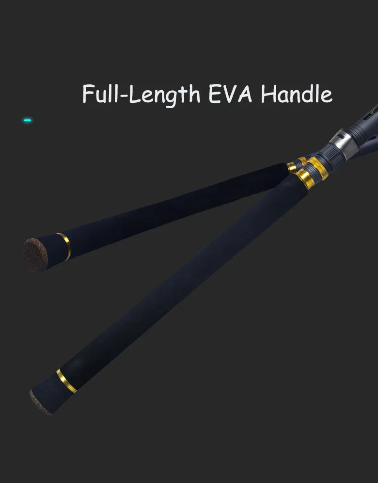 CHEERY High Carbon Saltwater Sea Bass Carbon Competition Rod - view 14