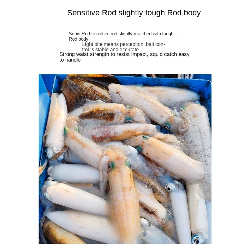 CHEERY ML Squid Rod Fishing Cuttlefish Carbon fishing rod - view 2
