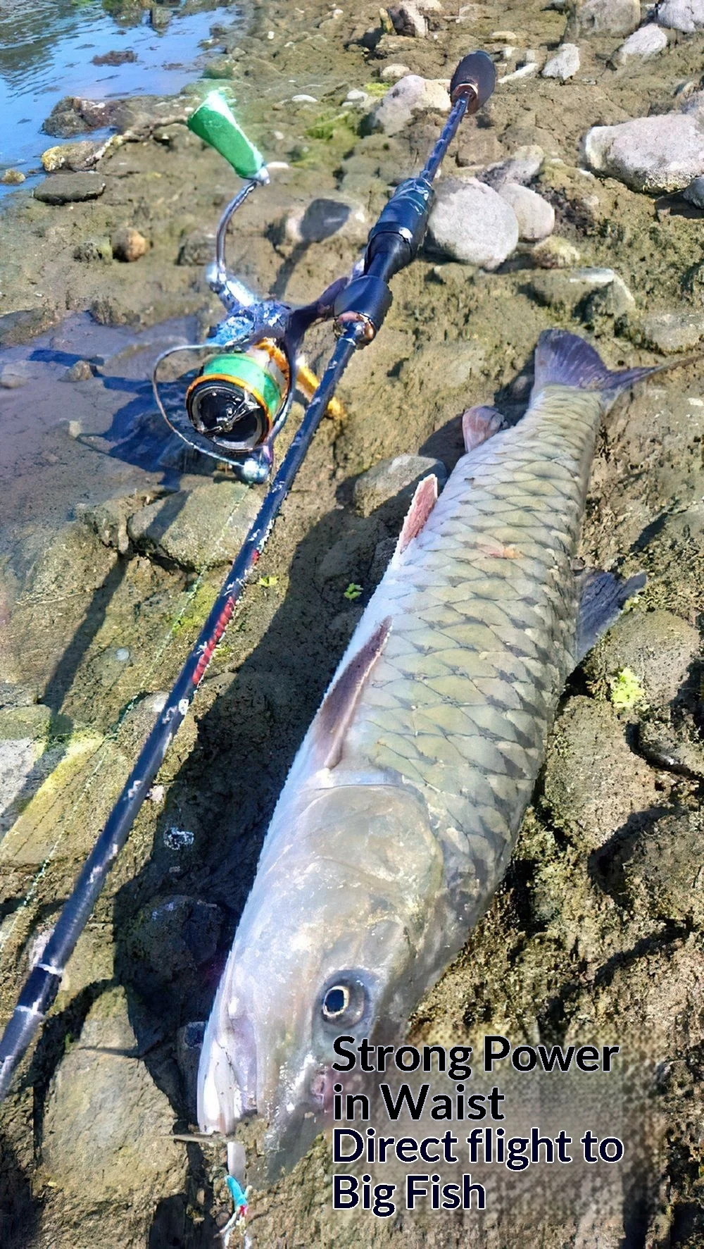 Ultra Light Solid Carbon Sea Bass None None - view 10