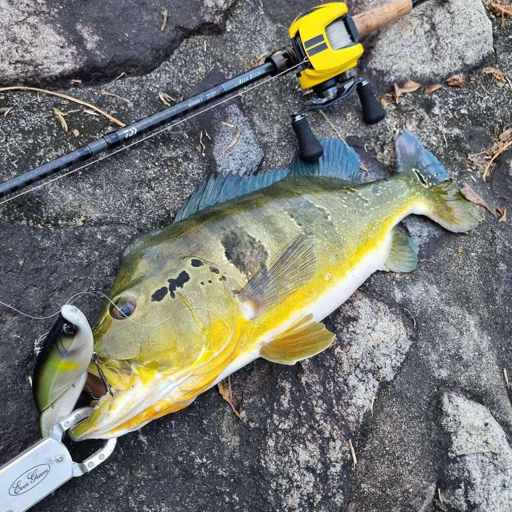 Cheery 135MM 160MM 190MM Wobblers Fishing ABS, ABS Hard Lure - view 3