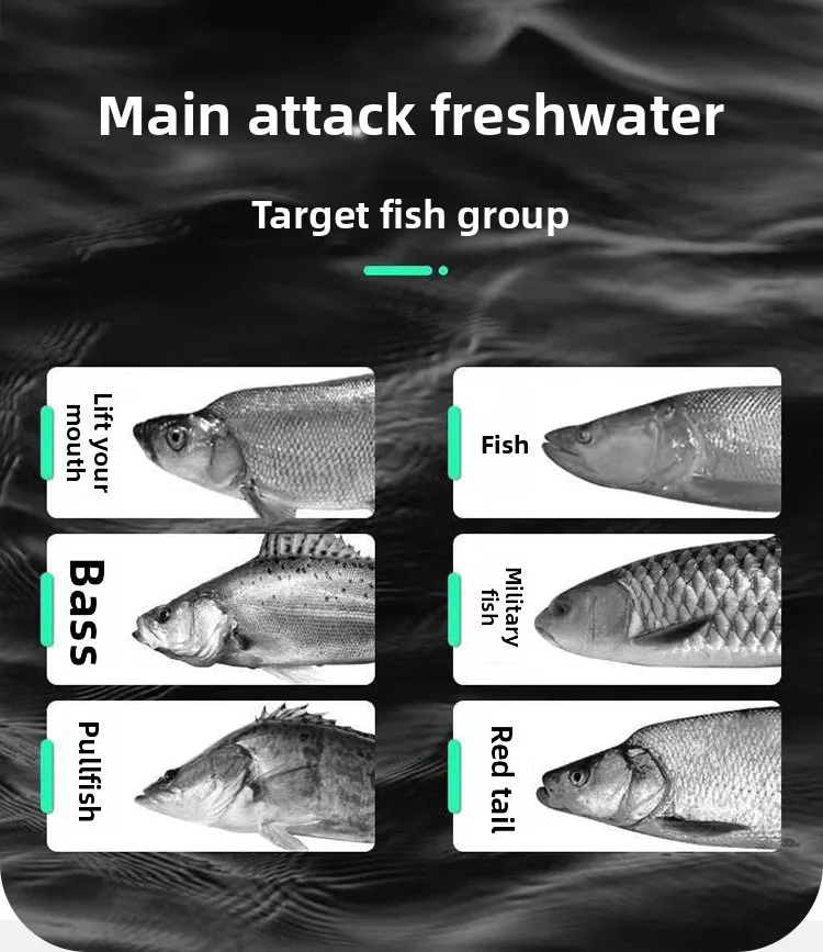 Cheery Casting Lure Whitefish Crank Bait ABS Lure Accessories - view 8