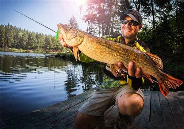 Cheery Luya 14g 8cm Long Cast ABSPlastic Bait - view 25