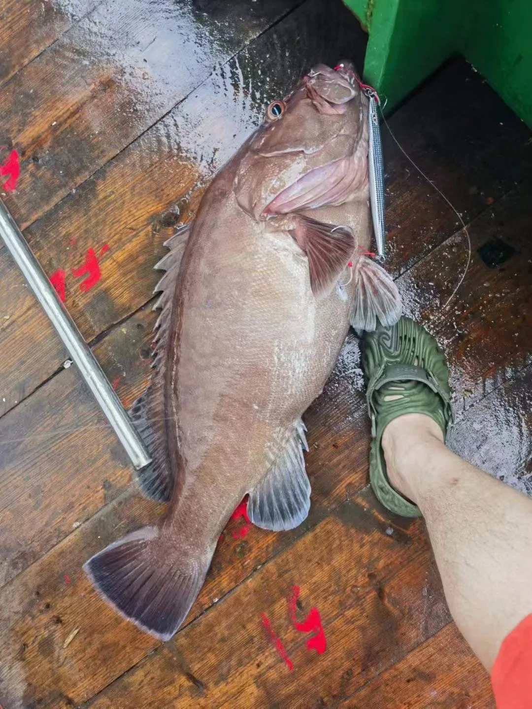 Deep Sea Slow Roll Powerful Catch Metal None - view 12