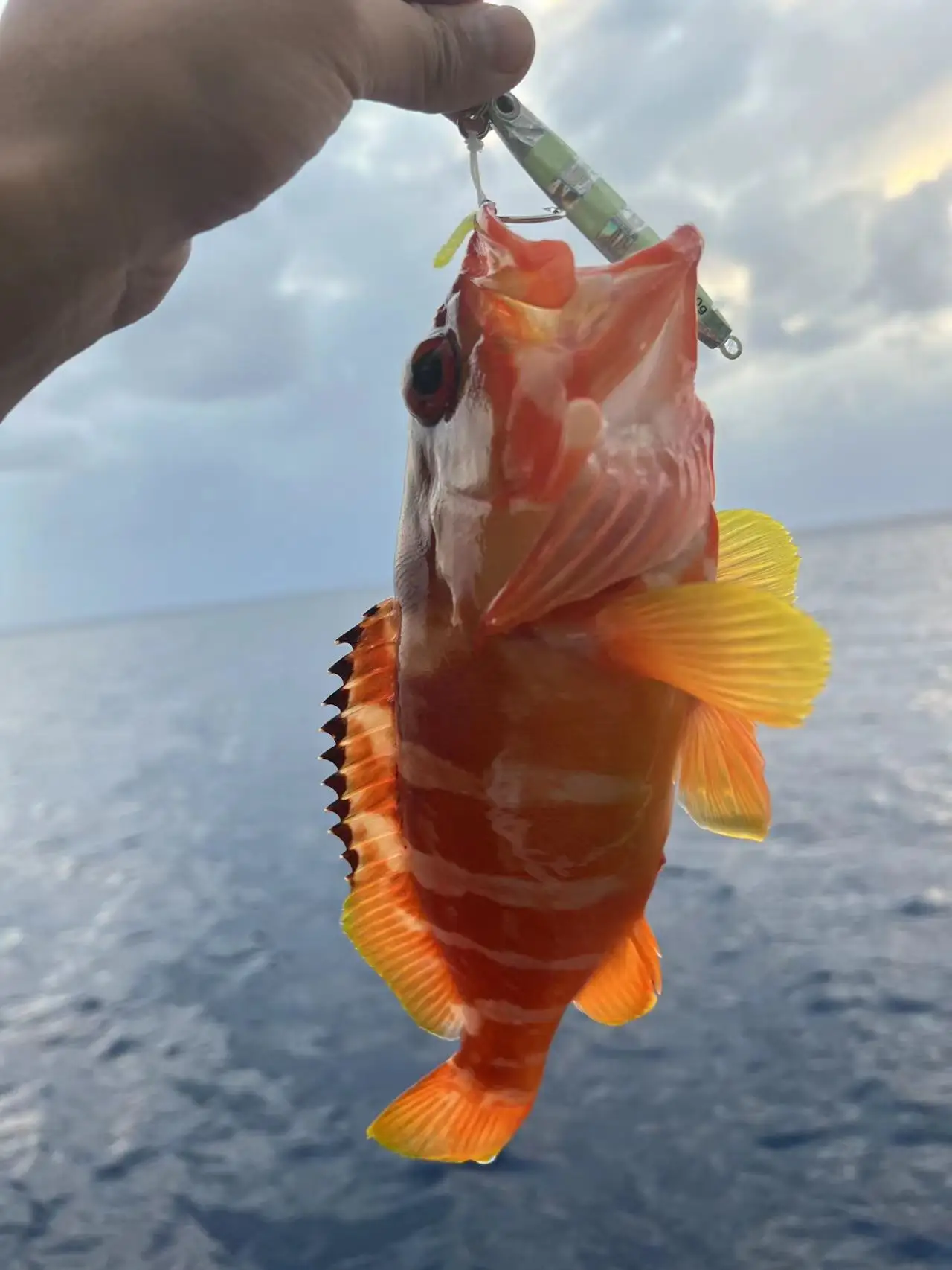 Iron Plate Lure Night Glow Laser Metal None - view 13