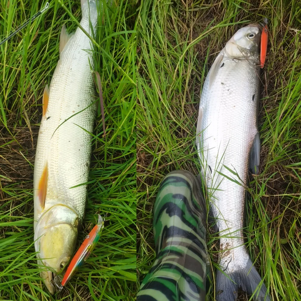 Cheery 13cm 18 5g Floating Water Plastic Minnow Lure - view 9