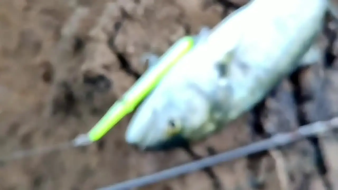 Big Javelin Artificial Hard Bait Pencil steel wire Fish bait - view 5