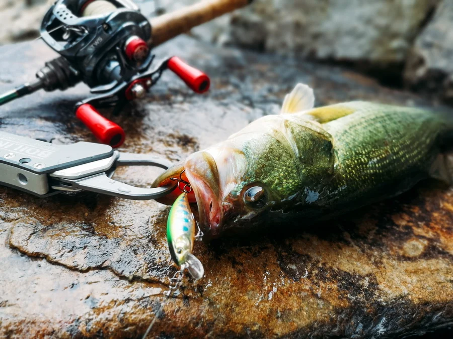 Japan Lure Minnow Crankbait 52mm 4.5g Isca Artificial Wobbler ABS Pencil Lure - view 14
