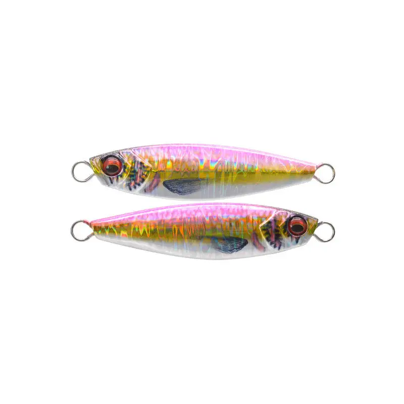 20g 30g 40g 60g 80g Japanese 3D Print Lifelike Sardine Fishing Metal Jig ABS Pencil Lure - view 4