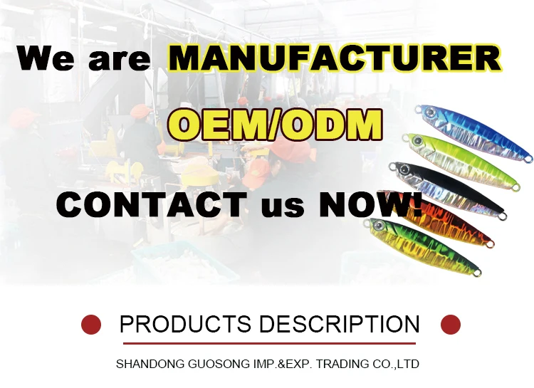 Guosong Metal Jigs 40/60/80/100g Double Hooks Jig Baited Lure ABS Pencil Lure - view 3