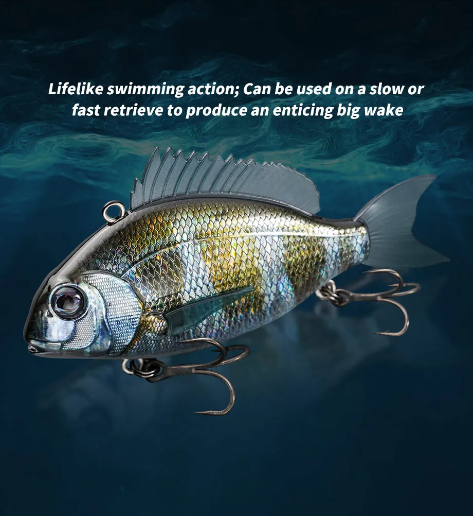 Cheery 65mm 24g Plastic Hard VIB Charikom 3D Printing Seabass Metal Jig ABS Pencil Lure - view 14