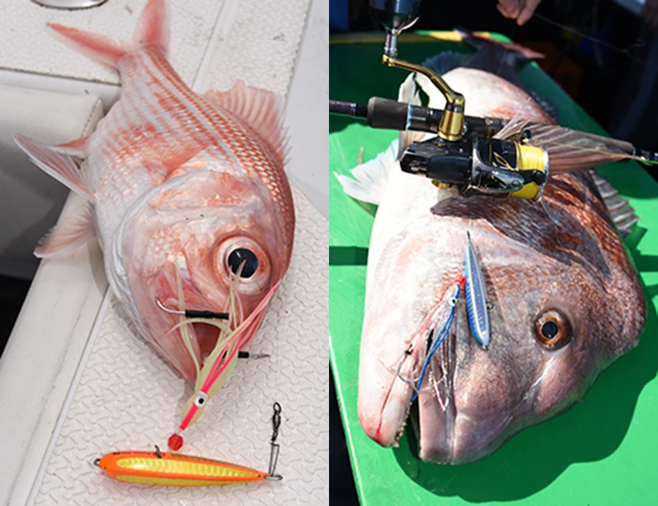 CHEERY 40G-200G ENGETSU Kabura Inchiku Jig, Saltwater Boat ABS Pencil Lure - view 17