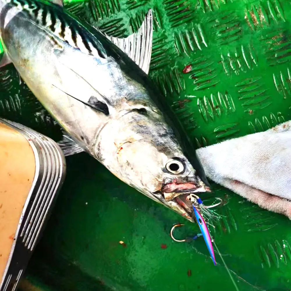 Fast-Sinking Luminous Pure-Iron Welded Iron-Plate Artificial Hard Metal Jig ABS Pencil Lure - view 6
