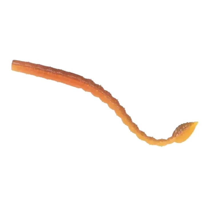 Cheery New 110mm/2.2G Senko Soft Plastic Fishing Bait TPR Lure ABS Pencil Lure - view 6
