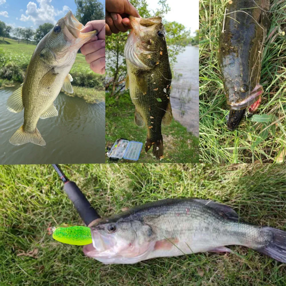 Cheery Silicone Frog Soft Plastic Lure 10 cm 11 g Freshwater Cod ABS Pencil Lure - view 7