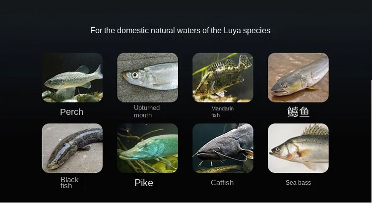 2026 Soft Lure, for Freshwater / Saltwater Bass ABS Pencil Lure - view 18